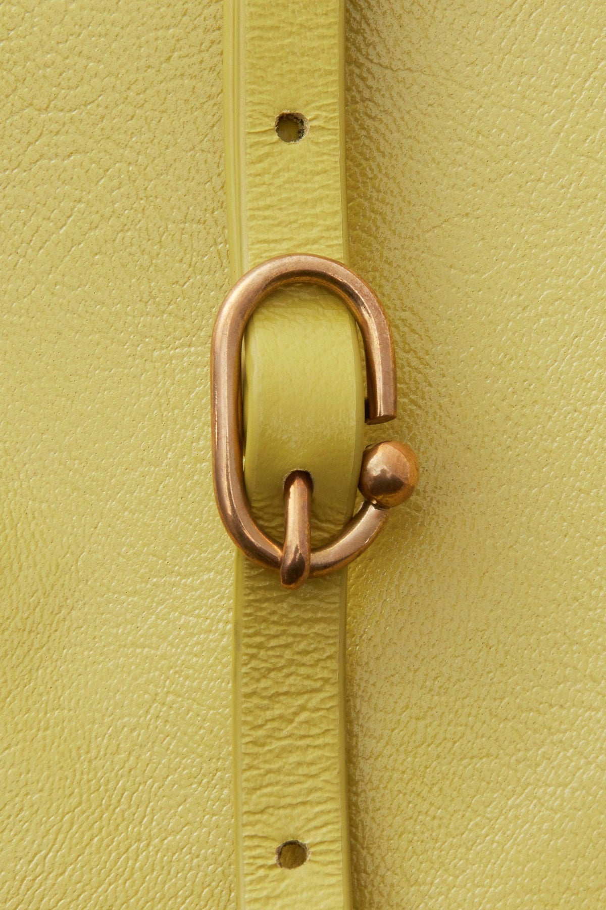L'Appat Bag Citron - Rachel Comey