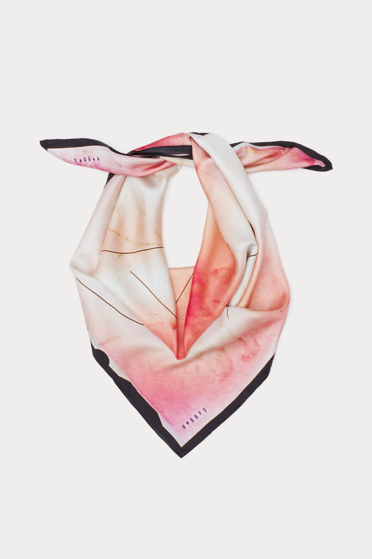 Artists and Mothers Ketuta Scarf Blush Multi - Rachel Comey